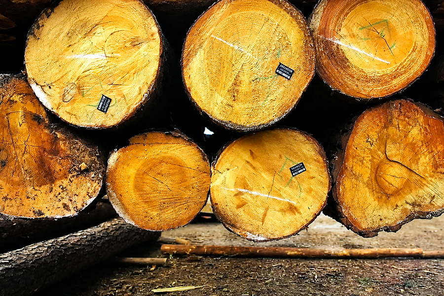 Fichten- und Kiefernholz aus kontrollierten Quellen für Profilholzproduktion